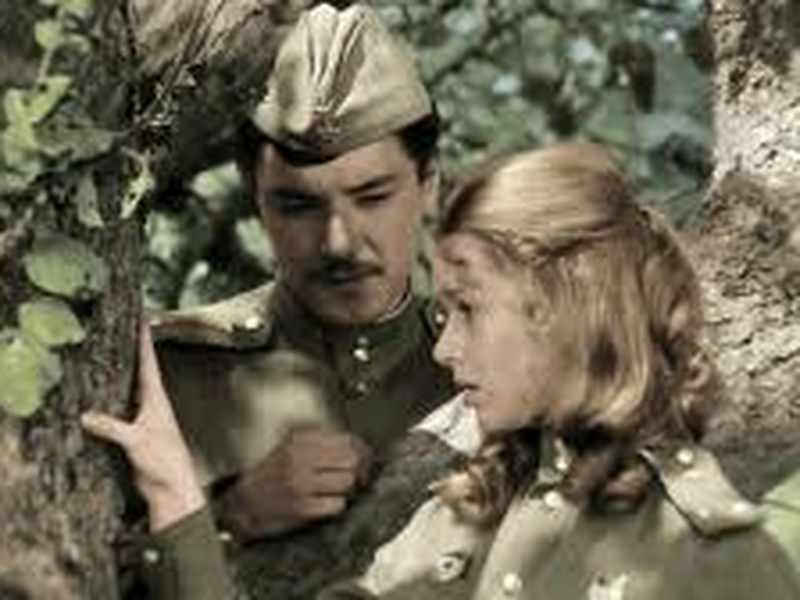 Foto 7 de Only Old Men Are Going to Battle