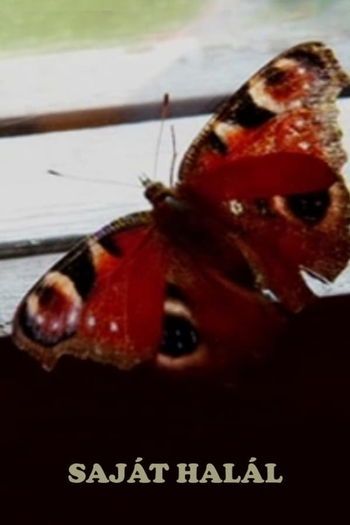 Poster de Filme A Sós Com a Morte (2008)