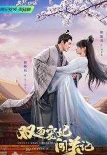 Shuang Mian Chong Fei Chuang Guan Ji (双面宠妃闯关记)