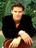 David Boreanaz