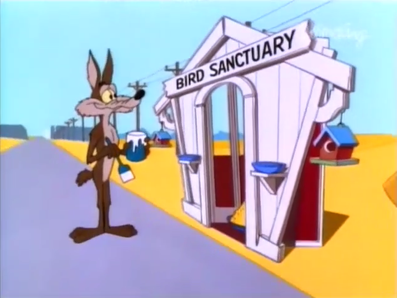 Foto 4 de Cansaço e Penas Soltas