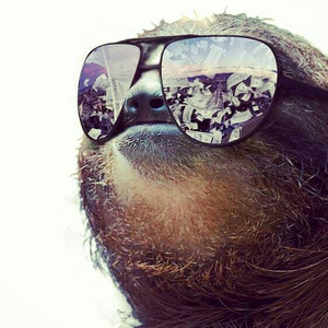 Foto de perfil de Lucas