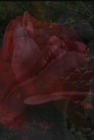 Poster 1 de Curta Monsters (2013)