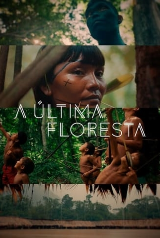 Poster 2 de Filme A Última Floresta (2021)