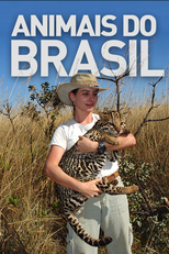 Animais do Brasil (Animais do Brasil)