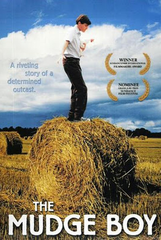 Poster 1 de Filme O Despertar da Adolescência (2003)