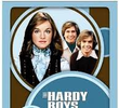 The Hardy Boys/Nancy Drew Mysteries (2ª temporada)