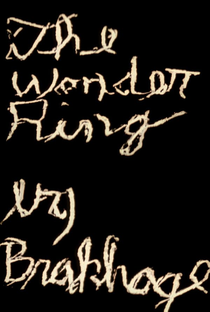 The Wonder Ring - Poster / Capa / Cartaz - Oficial 2