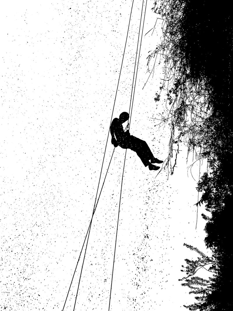 Alexandre Queiroz - Foto 2