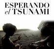 Esperando o Tsunami