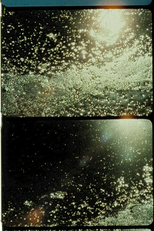 Jardin du Sel (Jardin du Sel)