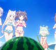夏だ！海だ！ネコぱらだいす！
