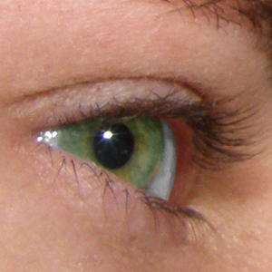 Foto de perfil de cesarsathler