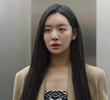 12회
