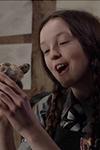 Poster de Episódio Tortoise Trouble (2018)