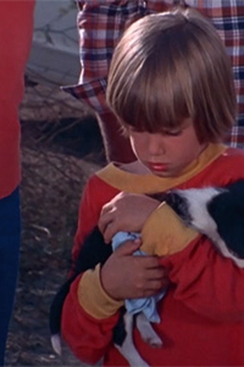 Poster de Episódio Little Boy Lost (1974)