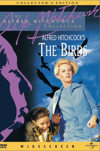  de Filme Os Pássaros (1963)