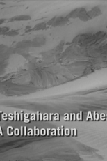 Teshigahara and Abe: A Collaboration (Teshigahara and Abe: A Collaboration)
