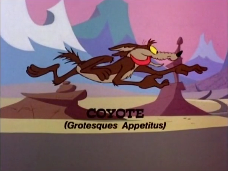 Foto 6 de Freeze Frame