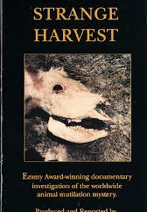 A Strange Harvest (A Strange Harvest)