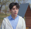 데킬라 선라이즈