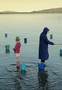 Folha em Branco (Folha em Branco)