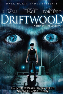 Driftwood: O Reformatório - Poster / Capa / Cartaz - Oficial 4
