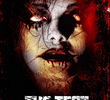 The Test