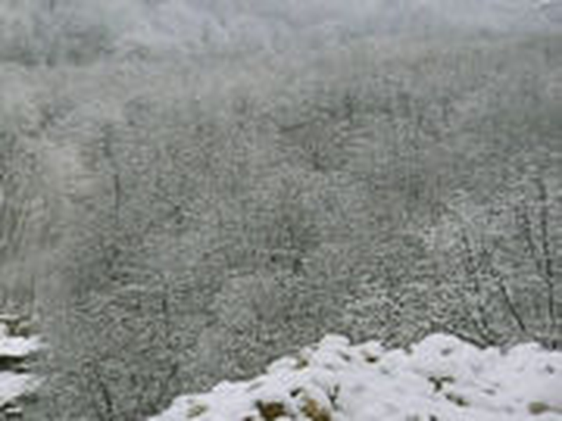 Foto 31 de Let us part while we are good     