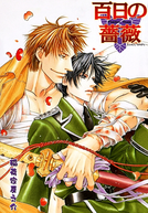 SAEZURU TORI WA HABATANAKAI: DON'T STAY GOLD  A história de Kanji Kageyama  e Eishin Kuga 