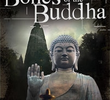 Os Restos Mortais de Buda