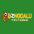 Foto de perfil de bongdaluvnpro