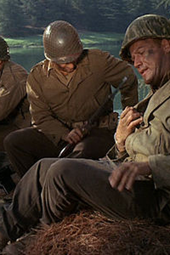 Poster de Episódio The Furlough (1966)