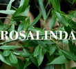 Rosalinda
