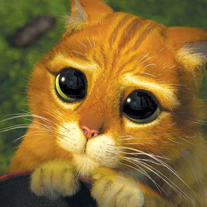 Foto de perfil de shirley paradizo