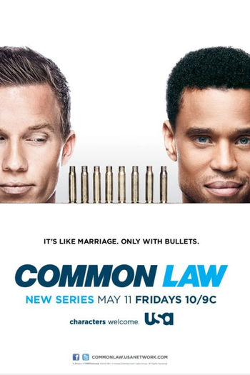 Poster de Série Common Law (2012)