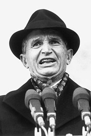 Poster de Filme Câmera e Realidade (1992)