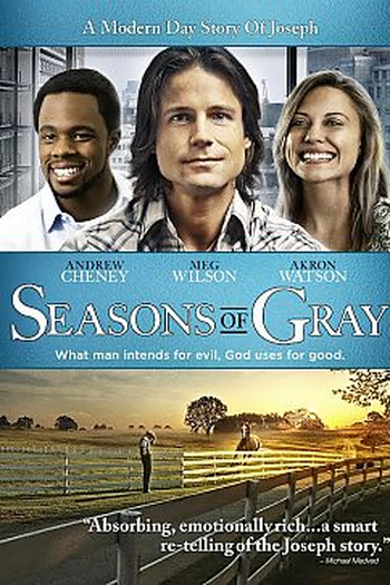 Poster de Filme Temporadas de Cinza (2013)