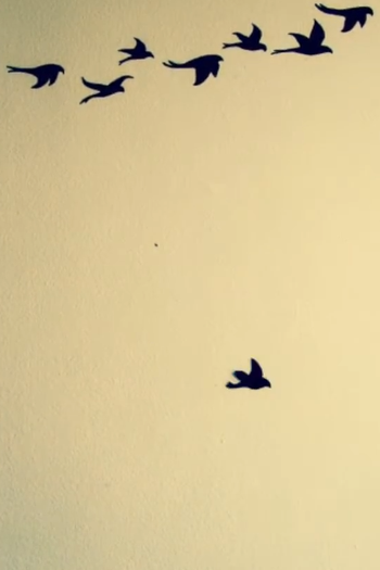 Poster de Curta A Vida Curta e Triste da Liberdade (2012)