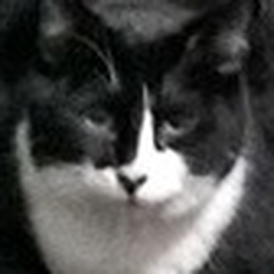 Foto de perfil de Morgana Winter