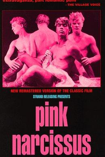  de Filme Pink Narcissus (1971)
