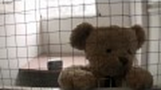 Trailer: Misery Bear - World Cup