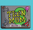 Teen Mom 3 (Season 1)
