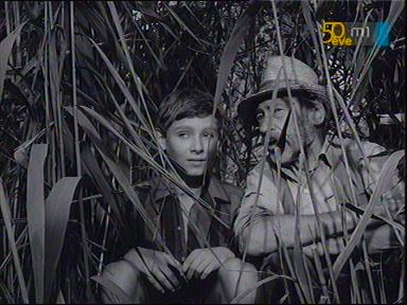 Foto 8 de Tüskevár