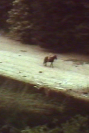 Poster de Curta O Aleph (2005)