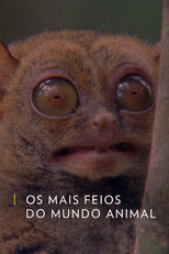 Os Mais Feios do Mundo Animal (Os Mais Feios do Mundo Animal)