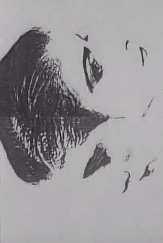 Poster 1 de Curta Model (1987)