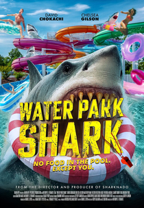 Water Park Shark (Water Park Shark)