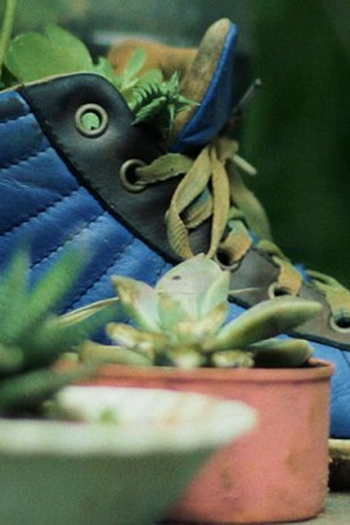 Poster de Filme Trago seu amor (2015)