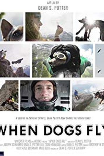 Poster de Filme When Dogs Fly (2015)